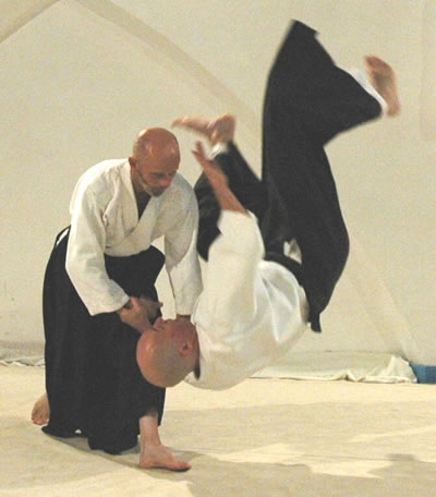 Aikido throw