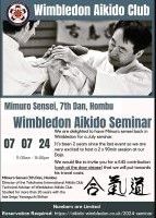 Wimbledon thumbnail poster