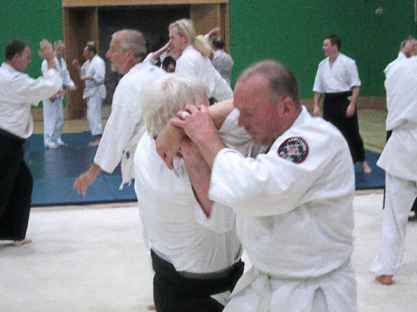 Shihonage aikido throw